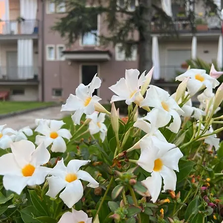 Otta House Garda *